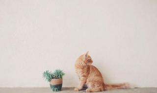 有车好好开 有车好好开